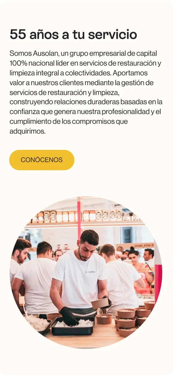 Momento de la web de Ausolan en mobile
