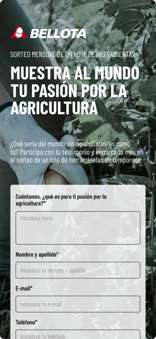 Campaña Bellota