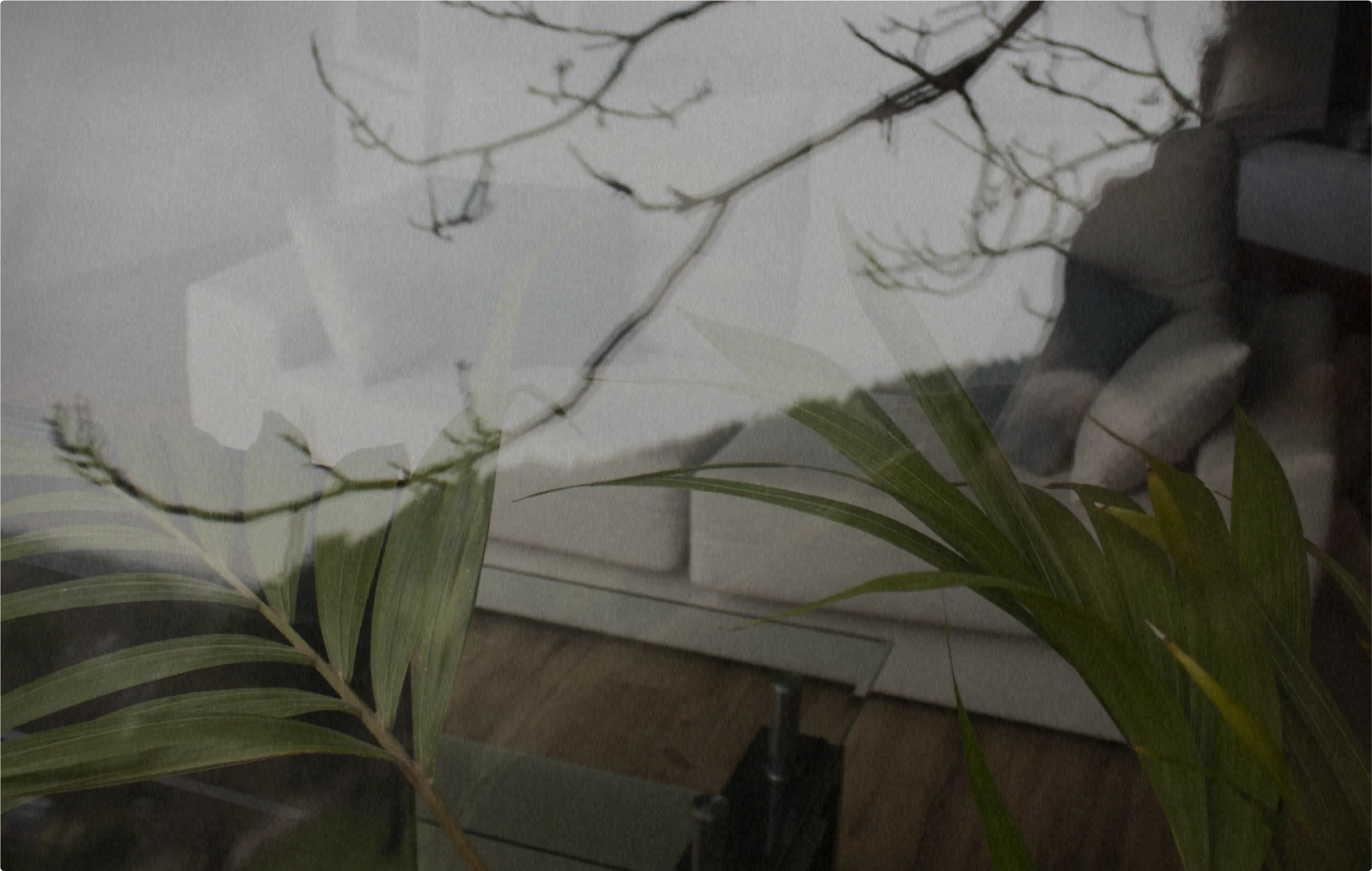 Reflejo de plantas en el cristal