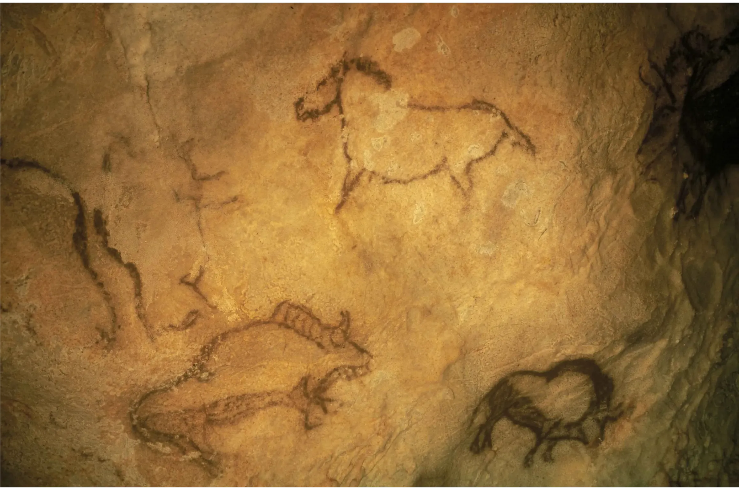 Cuevas de Santimamiñe